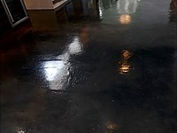 Stained Concrete