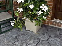 Stained Concrete Porch, Louisville, KY 
