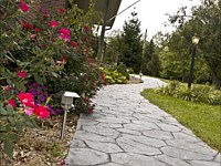 Stamped Sidewalks, Louisville, KY 